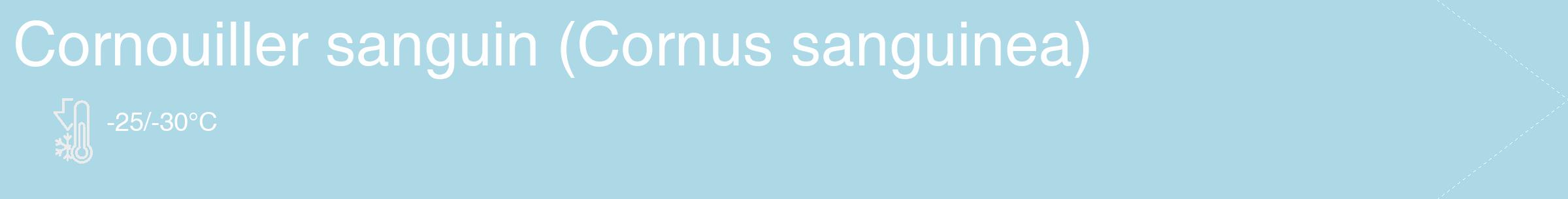 Étiquette de : Cornus sanguinea - format c - style blanche0_simple_simplehel avec comestibilité