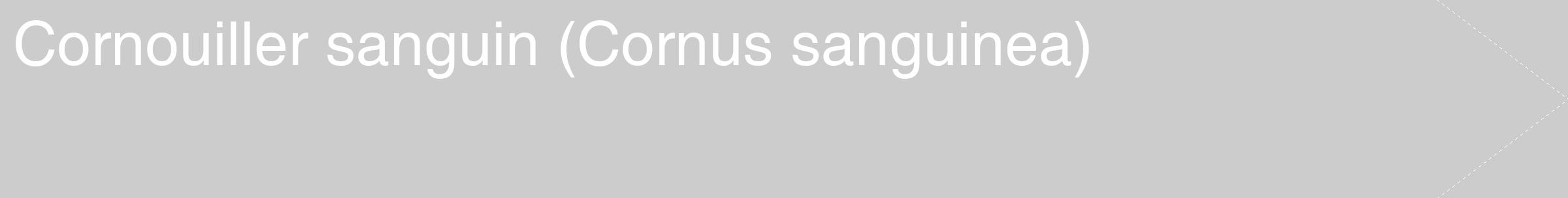 Étiquette de : Cornus sanguinea - format c - style blanche0_simple_simplehel avec comestibilité