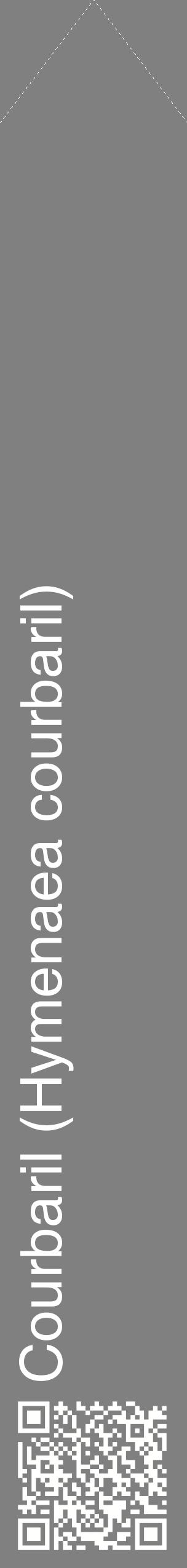 Étiquette de : Hymenaea courbaril - format c - style blanche57_simplehel avec qrcode et comestibilité
