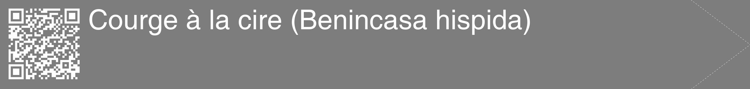 Étiquette de : Benincasa hispida - format c - style blanche35_simple_simplehel avec qrcode et comestibilité