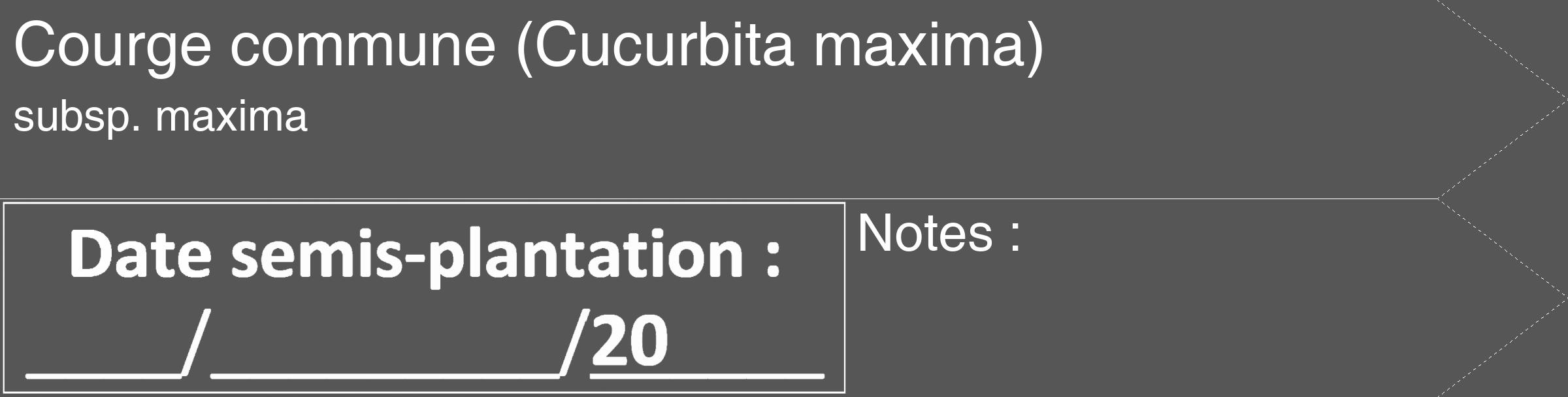 Étiquette de : Cucurbita maxima subsp. maxima - format c - style blanche45_simple_simplehel avec comestibilité