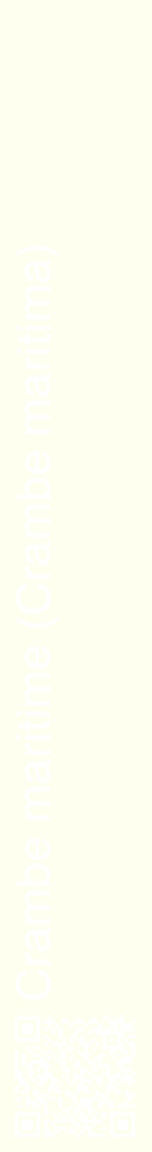 Étiquette de : Crambe maritima - format c - style blanche19_basiquehel avec qrcode et comestibilité
