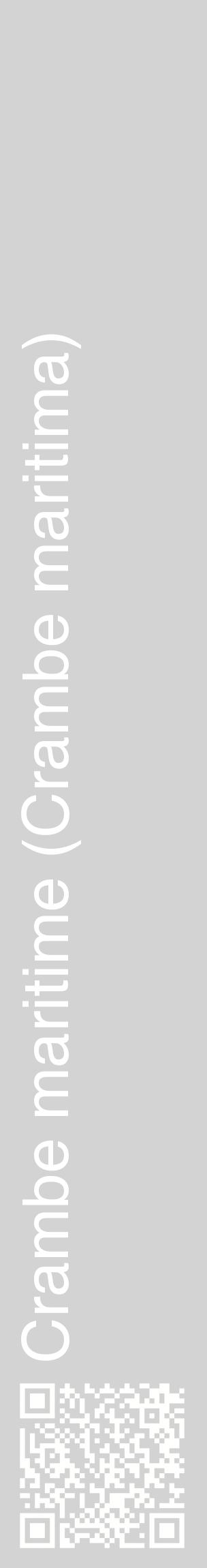 Étiquette de : Crambe maritima - format c - style blanche56_basiquehel avec qrcode et comestibilité