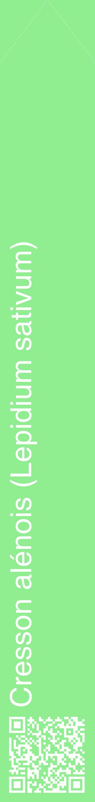 Étiquette de : Lepidium sativum - format c - style blanche15_simplehel avec qrcode et comestibilité