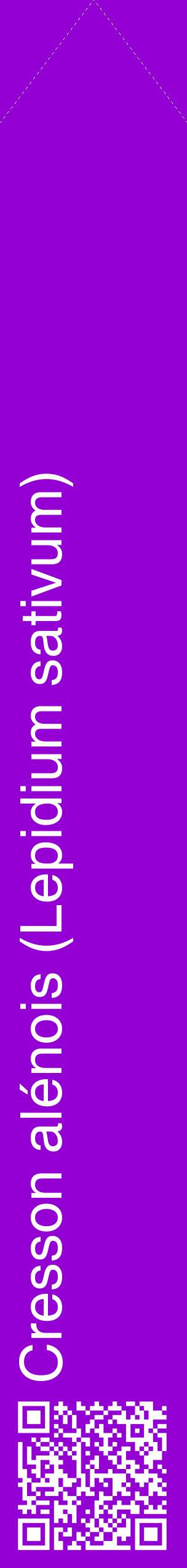 Étiquette de : Lepidium sativum - format c - style blanche48_simplehel avec qrcode et comestibilité