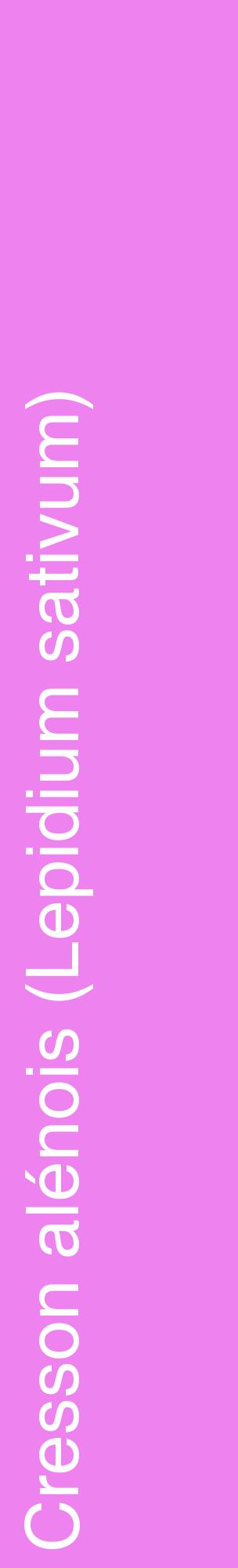 Étiquette de : Lepidium sativum - format c - style blanche53_basiquehel avec comestibilité