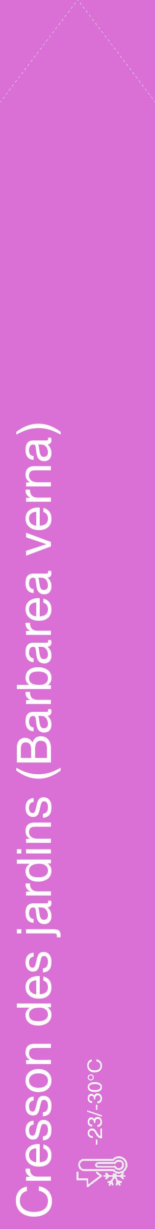 Étiquette de : Barbarea verna - format c - style blanche52_simple_simplehel avec comestibilité - position verticale