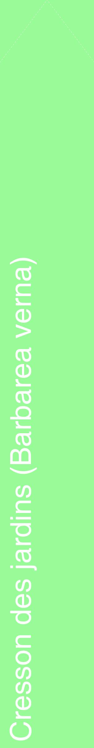 Étiquette de : Barbarea verna - format c - style blanche14_simplehel avec comestibilité