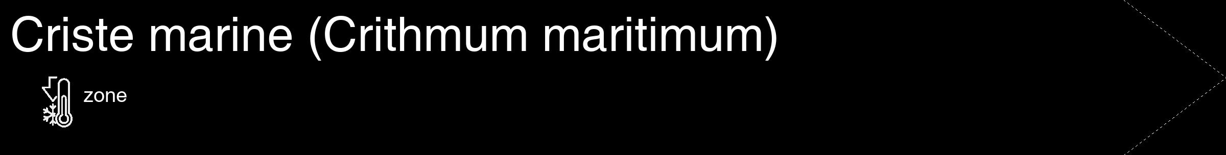 Étiquette de : Crithmum maritimum - format c - style blanche59_simple_simplehel avec comestibilité