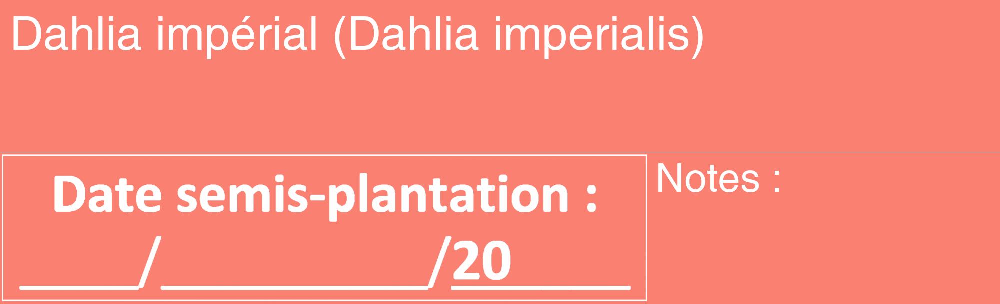 Étiquette de : Dahlia imperialis - format c - style blanche38_basique_basiquehel avec comestibilité