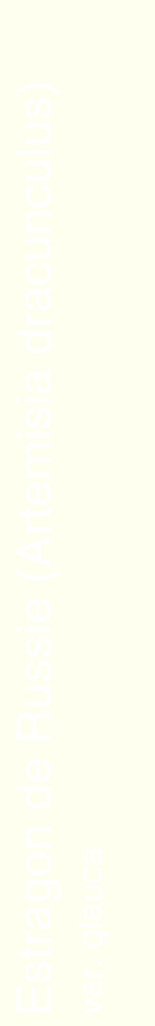 Étiquette de : Artemisia dracunculus var. glauca - format c - style blanche19_basiquehel avec comestibilité