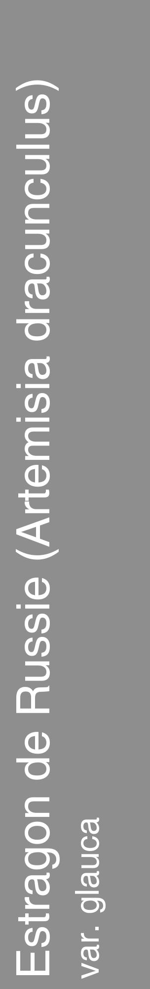 Étiquette de : Artemisia dracunculus var. glauca - format c - style blanche25_basique_basiquehel avec comestibilité - position verticale