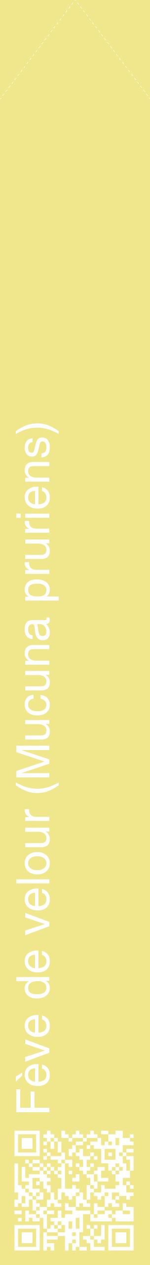 Étiquette de : Mucuna pruriens - format c - style blanche20_simplehel avec qrcode et comestibilité