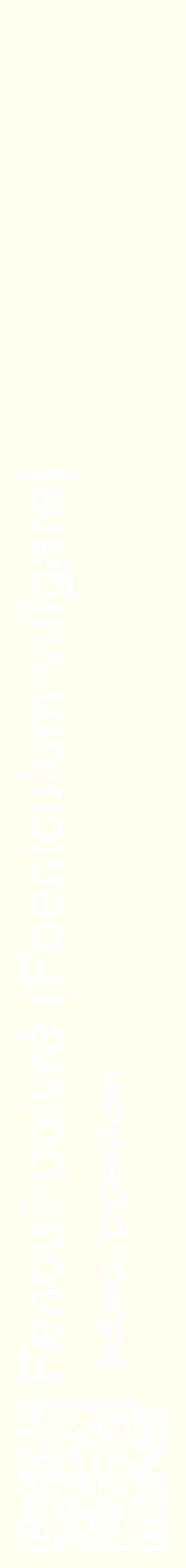 Étiquette de : Foeniculum vulgare subsp. piperitum - format c - style blanche19_simplehel avec qrcode et comestibilité