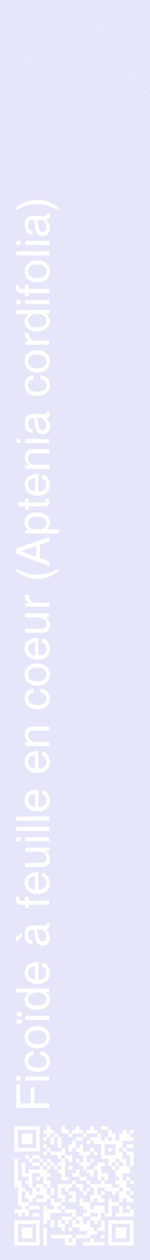 Étiquette de : Aptenia cordifolia - format c - style blanche55_simplehel avec qrcode et comestibilité