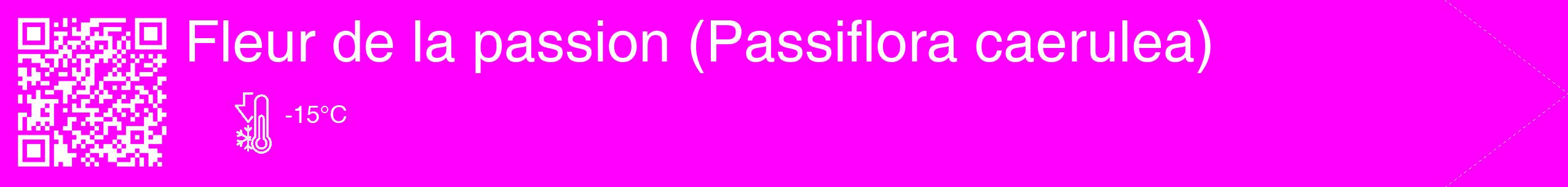 Étiquette de : Passiflora caerulea - format c - style blanche51_simple_simplehel avec qrcode et comestibilité