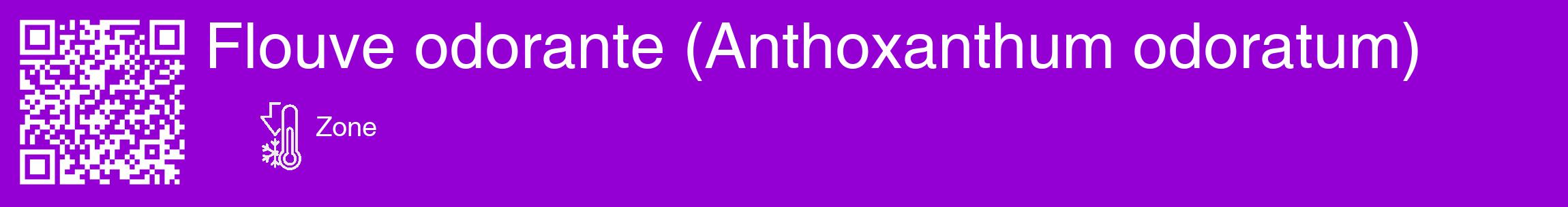 Étiquette de : Anthoxanthum odoratum - format c - style blanche48_basique_basiquehel avec qrcode et comestibilité
