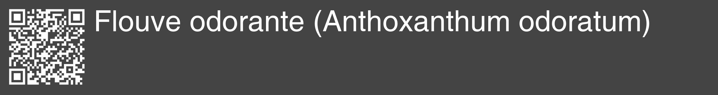 Étiquette de : Anthoxanthum odoratum - format c - style blanche48_basique_basiquehel avec qrcode et comestibilité