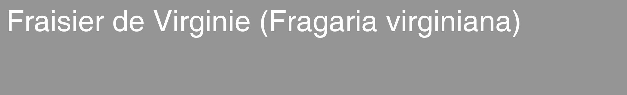 Étiquette de : Fragaria virginiana - format c - style blanche16_basique_basiquehel avec comestibilité