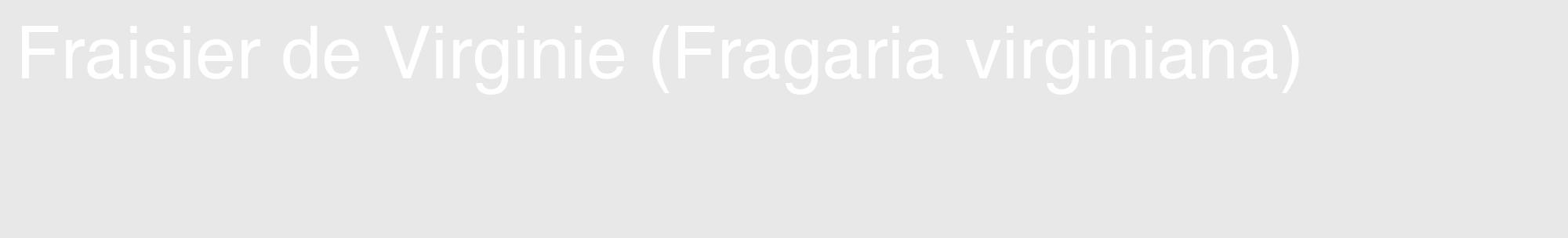 Étiquette de : Fragaria virginiana - format c - style blanche55_basique_basiquehel avec comestibilité