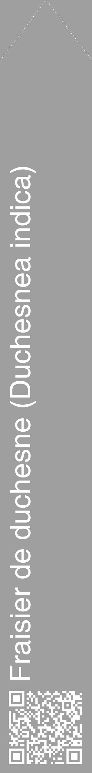 Étiquette de : Duchesnea indica - format c - style blanche24_simple_simplehel avec qrcode et comestibilité - position verticale