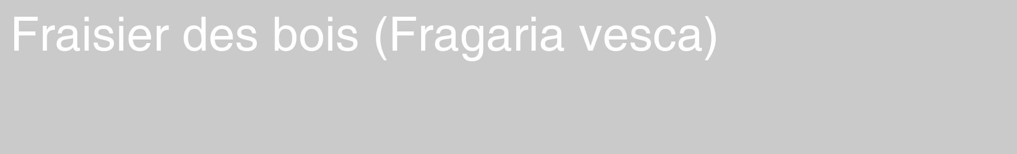 Étiquette de : Fragaria vesca - format c - style blanche21_basique_basiquehel avec comestibilité