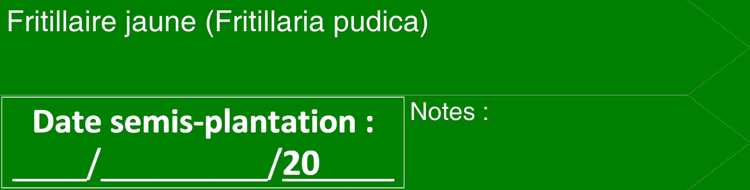 Étiquette de : Fritillaria pudica - format c - style blanche9_simple_simplehel avec comestibilité