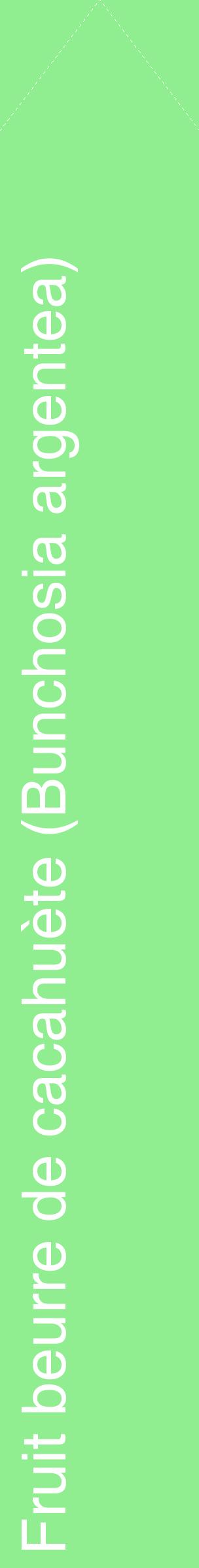 Étiquette de : Bunchosia argentea - format c - style blanche15_simplehel avec comestibilité