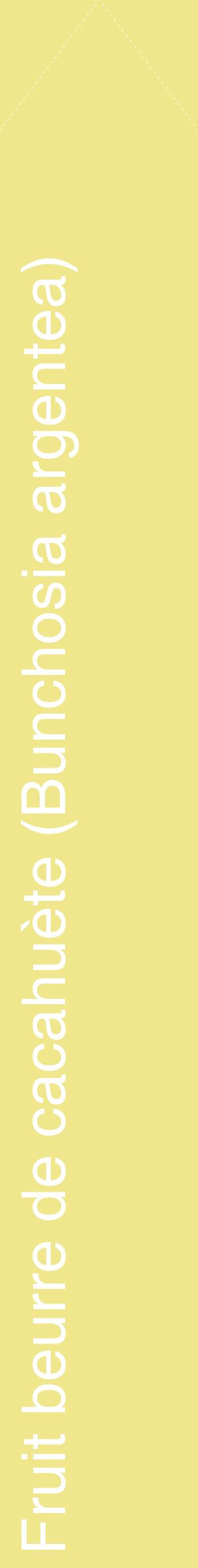 Étiquette de : Bunchosia argentea - format c - style blanche20_simplehel avec comestibilité
