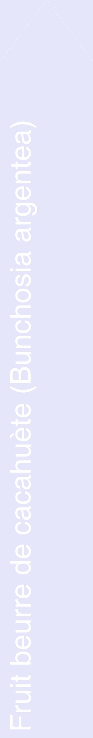 Étiquette de : Bunchosia argentea - format c - style blanche55_simplehel avec comestibilité