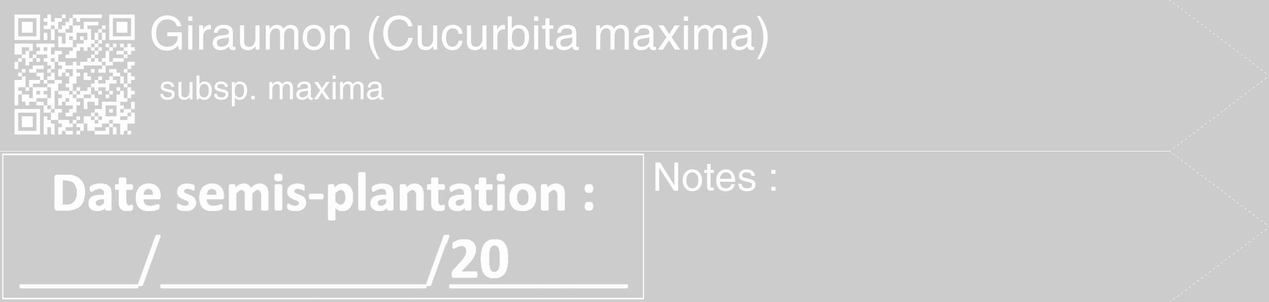 Étiquette de : Cucurbita maxima subsp. maxima - format c - style blanche0_simple_simplehel avec qrcode et comestibilité