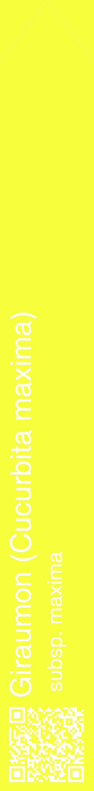 Étiquette de : Cucurbita maxima subsp. maxima - format c - style blanche18_simplehel avec qrcode et comestibilité