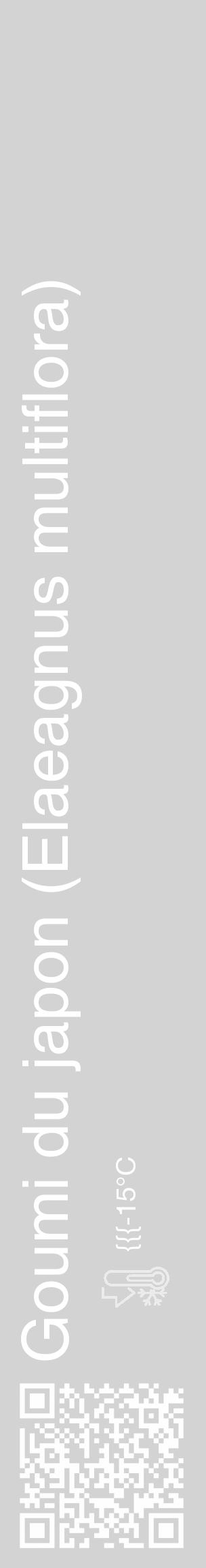 Étiquette de : Elaeagnus multiflora - format c - style blanche56_basique_basiquehel avec qrcode et comestibilité - position verticale