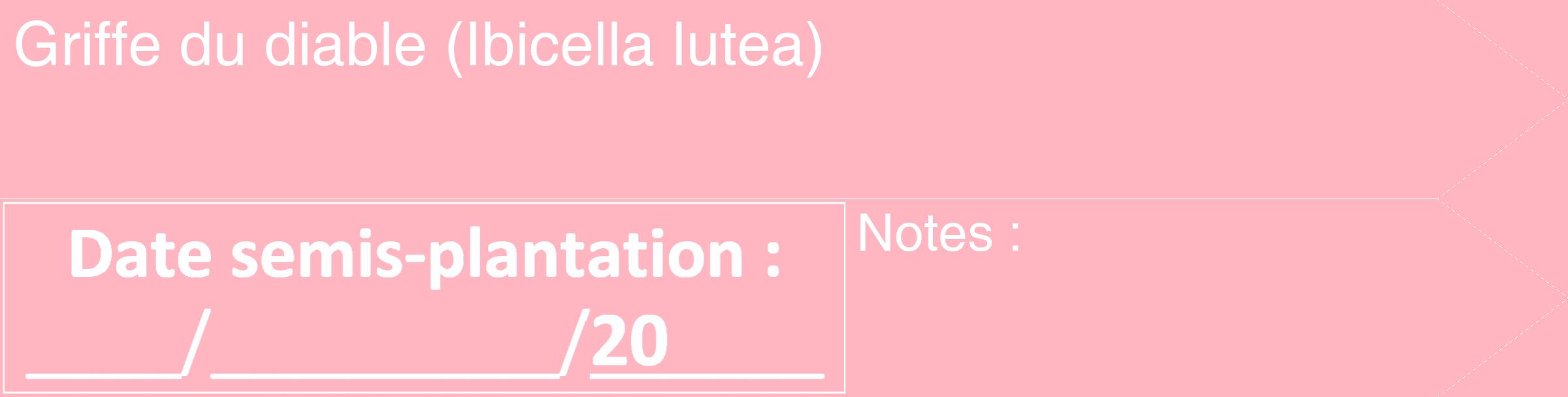 Étiquette de : Ibicella lutea - format c - style blanche41_simple_simplehel avec comestibilité