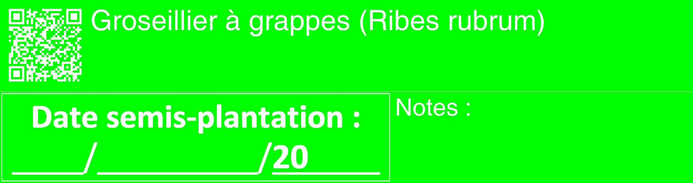 Étiquette de : Ribes rubrum - format c - style blanche16_basique_basiquehel avec qrcode et comestibilité