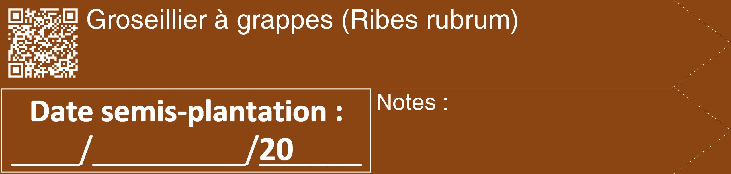 Étiquette de : Ribes rubrum - format c - style blanche30_simple_simplehel avec qrcode et comestibilité