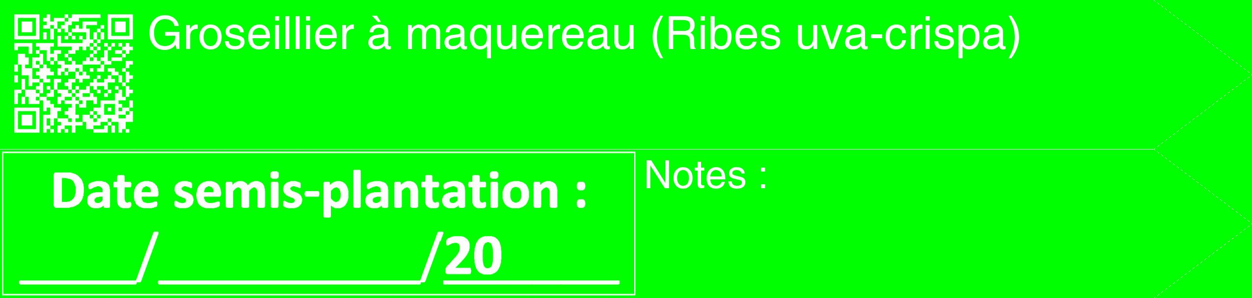 Étiquette de : Ribes uva-crispa - format c - style blanche16_simple_simplehel avec qrcode et comestibilité