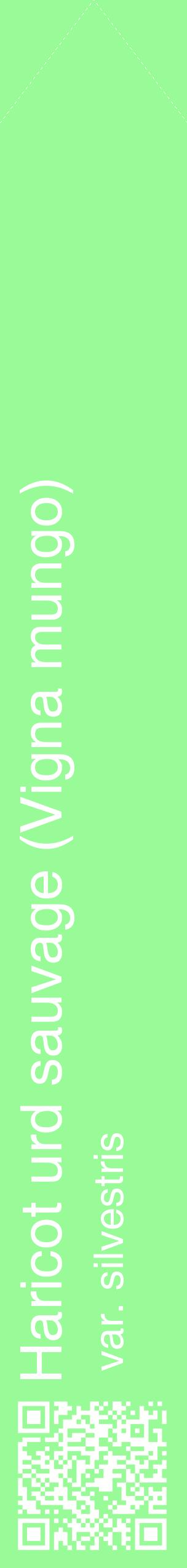 Étiquette de : Vigna mungo var. silvestris - format c - style blanche14_simplehel avec qrcode et comestibilité