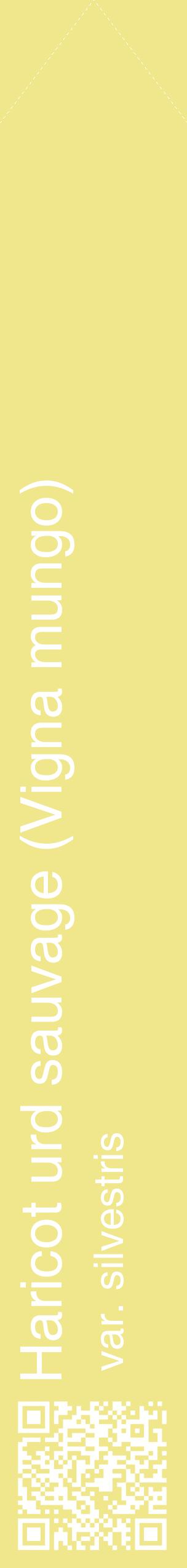 Étiquette de : Vigna mungo var. silvestris - format c - style blanche20_simplehel avec qrcode et comestibilité