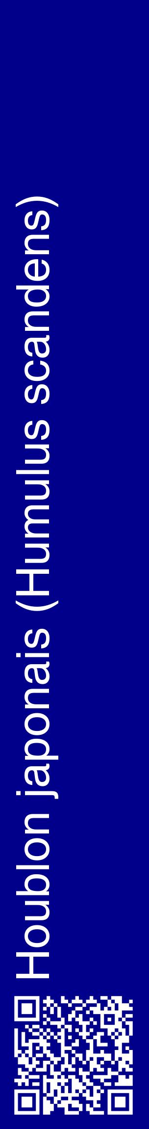 Étiquette de : Humulus scandens - format c - style blanche7_basiquehel avec qrcode et comestibilité