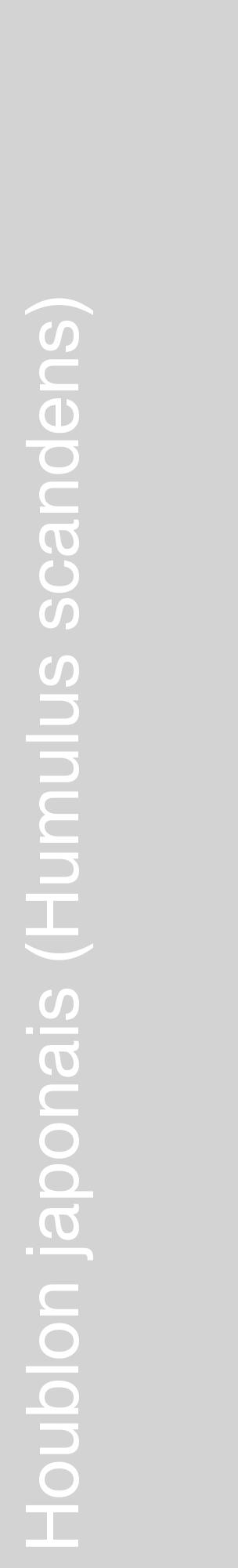 Étiquette de : Humulus scandens - format c - style blanche56_basiquehel avec comestibilité