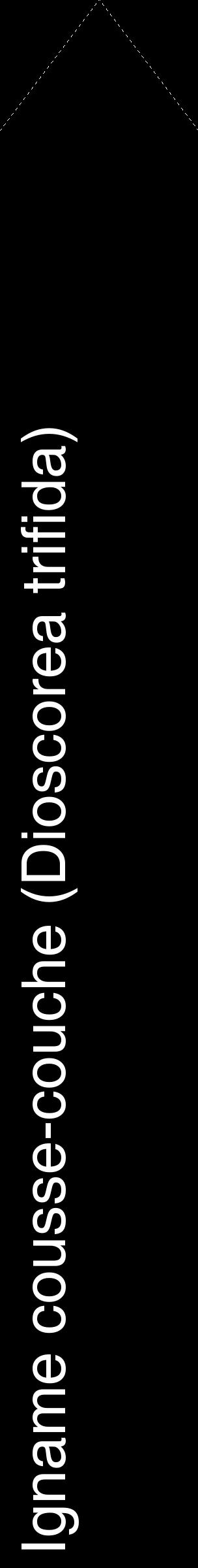 Étiquette de : Dioscorea trifida - format c - style blanche59_simplehel avec comestibilité