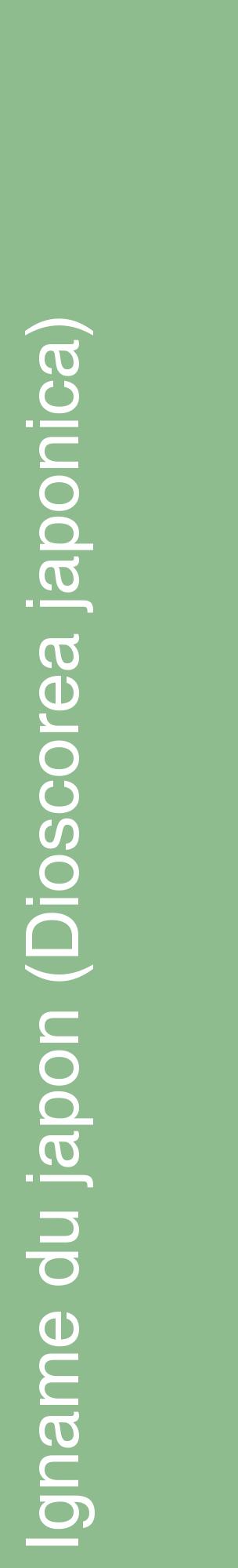 Étiquette de : Dioscorea japonica - format c - style blanche13_basiquehel avec comestibilité