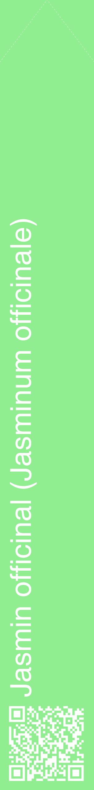 Étiquette de : Jasminum officinale - format c - style blanche15_simplehel avec qrcode et comestibilité