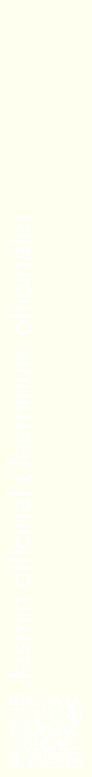 Étiquette de : Jasminum officinale - format c - style blanche19_simplehel avec qrcode et comestibilité