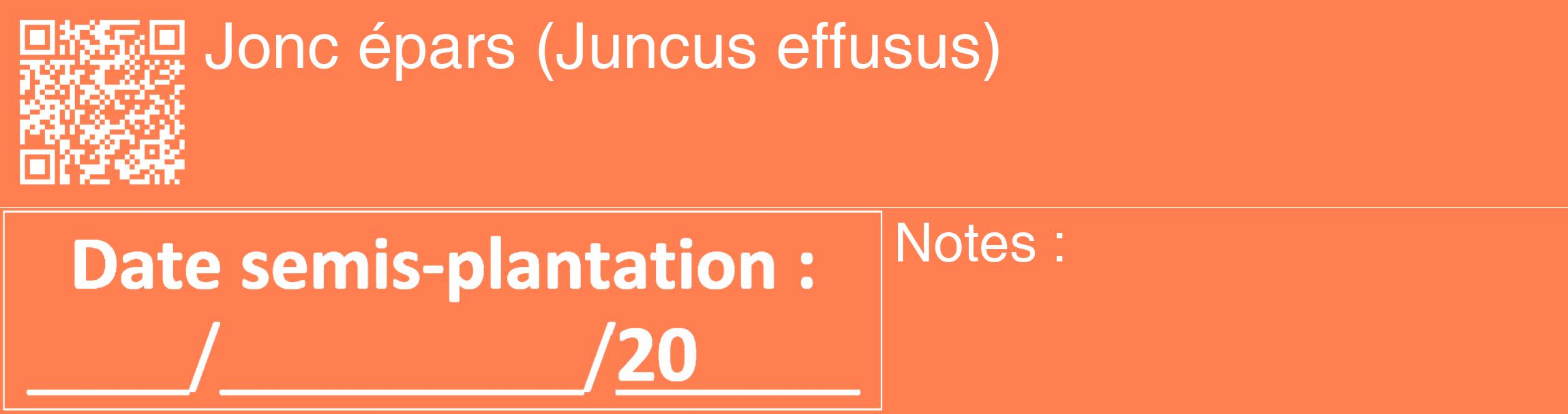 Étiquette de : Juncus effusus - format c - style blanche24_basique_basiquehel avec qrcode et comestibilité