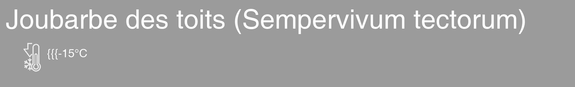 Étiquette de : Sempervivum tectorum - format c - style blanche52_basique_basiquehel avec comestibilité