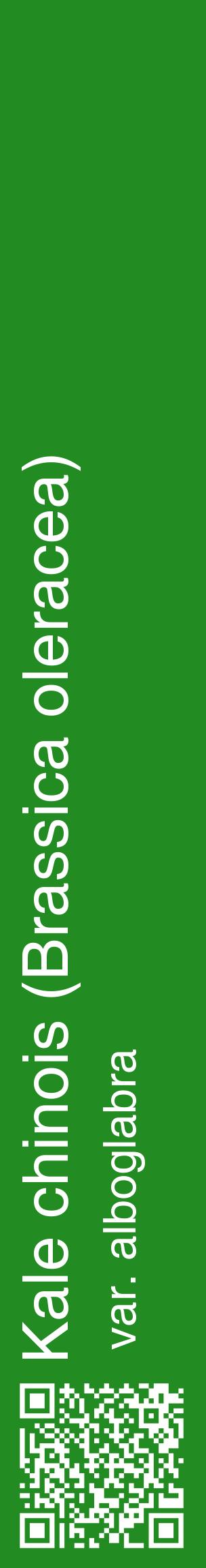 Étiquette de : Brassica oleracea var. alboglabra - format c - style blanche10_basiquehel avec qrcode et comestibilité