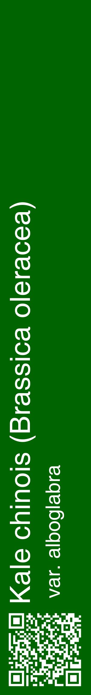 Étiquette de : Brassica oleracea var. alboglabra - format c - style blanche8_basiquehel avec qrcode et comestibilité
