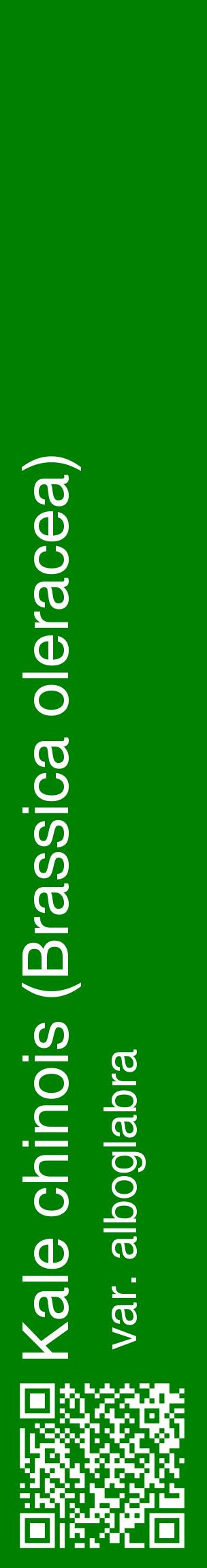 Étiquette de : Brassica oleracea var. alboglabra - format c - style blanche9_basiquehel avec qrcode et comestibilité
